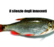 il silenzio