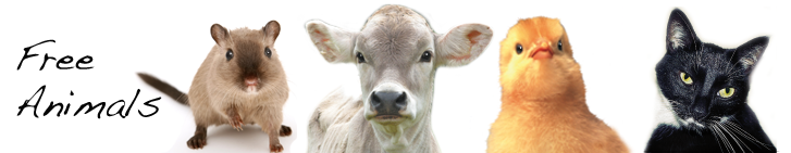 Immagine della testata di Progetto Vivere Vegan