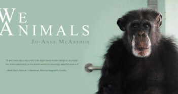 Noi Animali We Animals