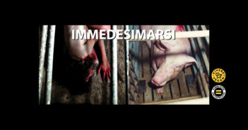 10 dicembre, Immedesimiamoci