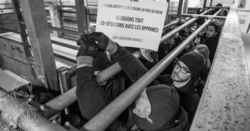 occupazione_macello