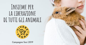 soci-vivere-vegan