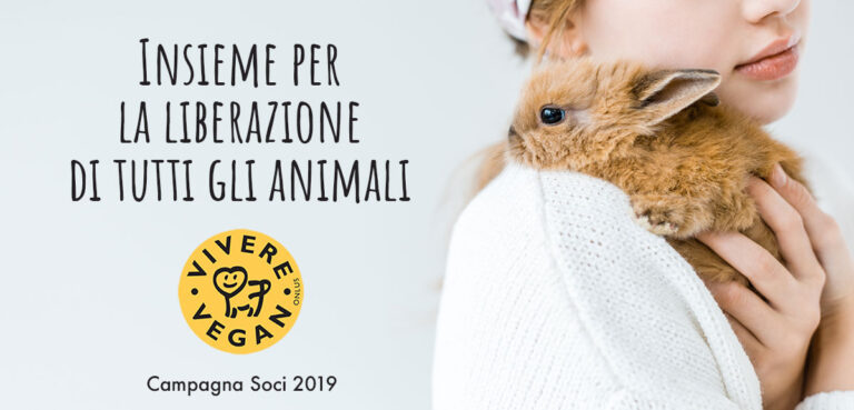 soci-vivere-vegan