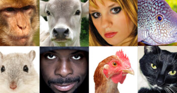 Gli_animali_persone