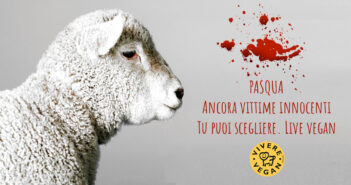 Pasqua: ancora vittime innocenti, ma piccole luci brillano Pasqua-agnelli
