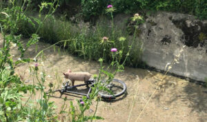 Babe la mailaina nel canale