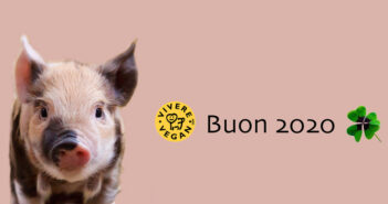 maialino
