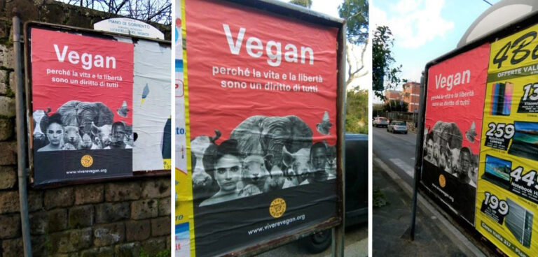 manifesti-antispecisti-vegan