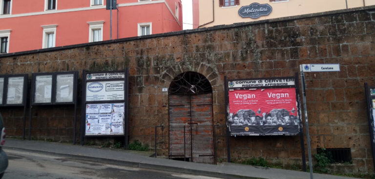 manifesti antispecisti cerveteri