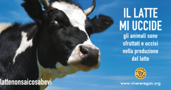 Latte: non sai cosa bevi latte non sai cosa bevi