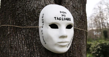 albero, protesta contro i tagli