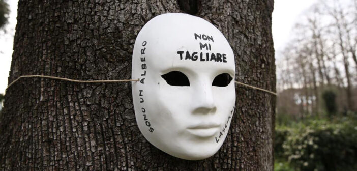 albero, protesta contro i tagli