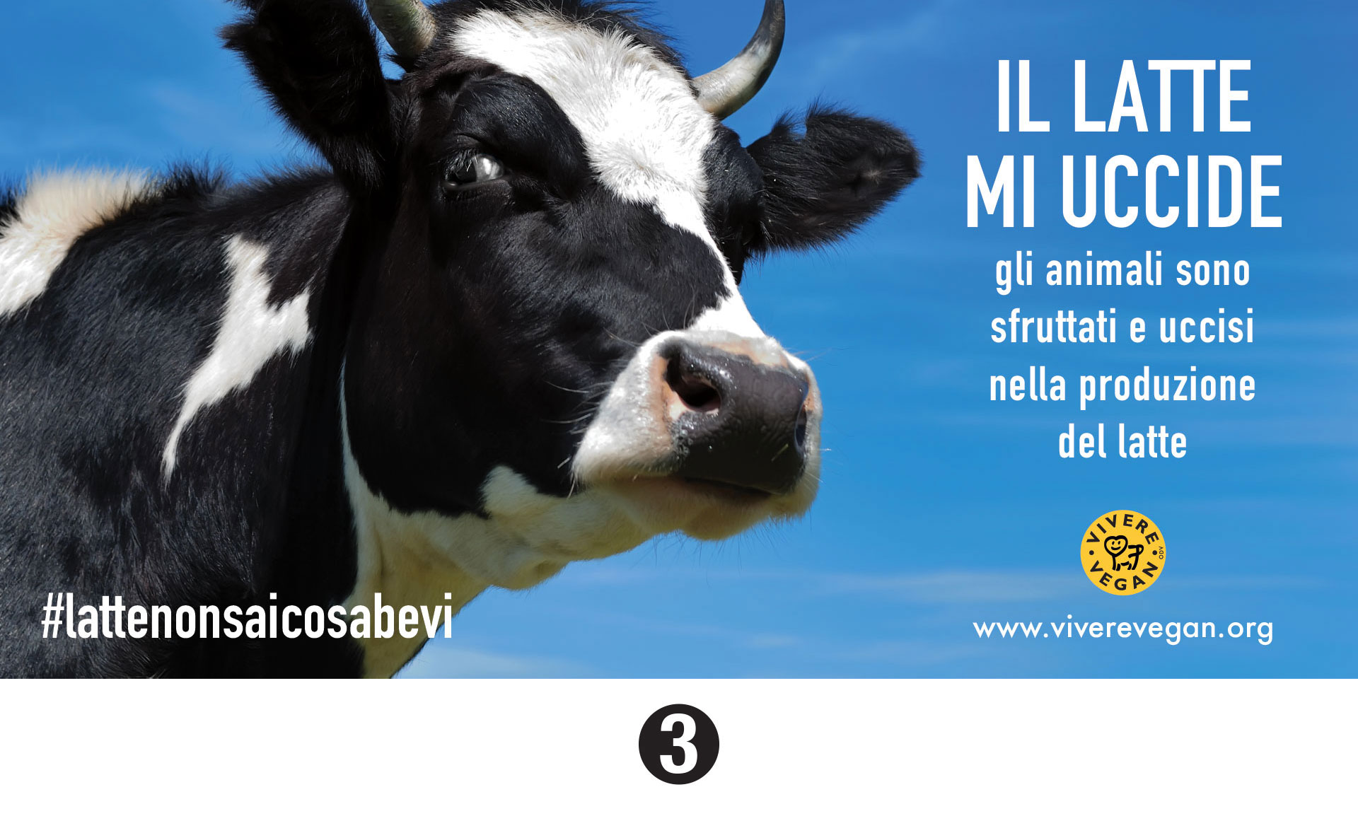 Manifesto Comunichiamolo Vivere Vegan