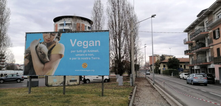 grandi manifesti vegan