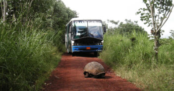 galapagos