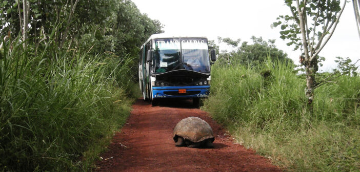 galapagos