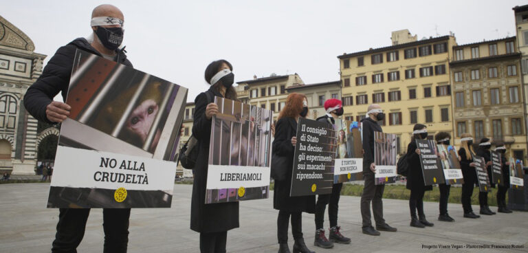 flash mob contro l'esperimento sui macachi