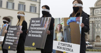 La battaglia per i macachi di Parma continua e si sposta in Procura