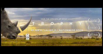 Trophy il documentario: i numeri e il paradosso della caccia grossa in Africa