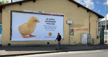 I nostri grandi manifesti ora a Firenze