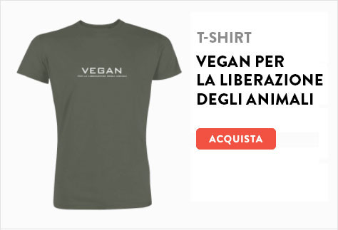 t-shirt-vegan