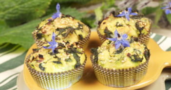 Ricetta: muffin alla borragine